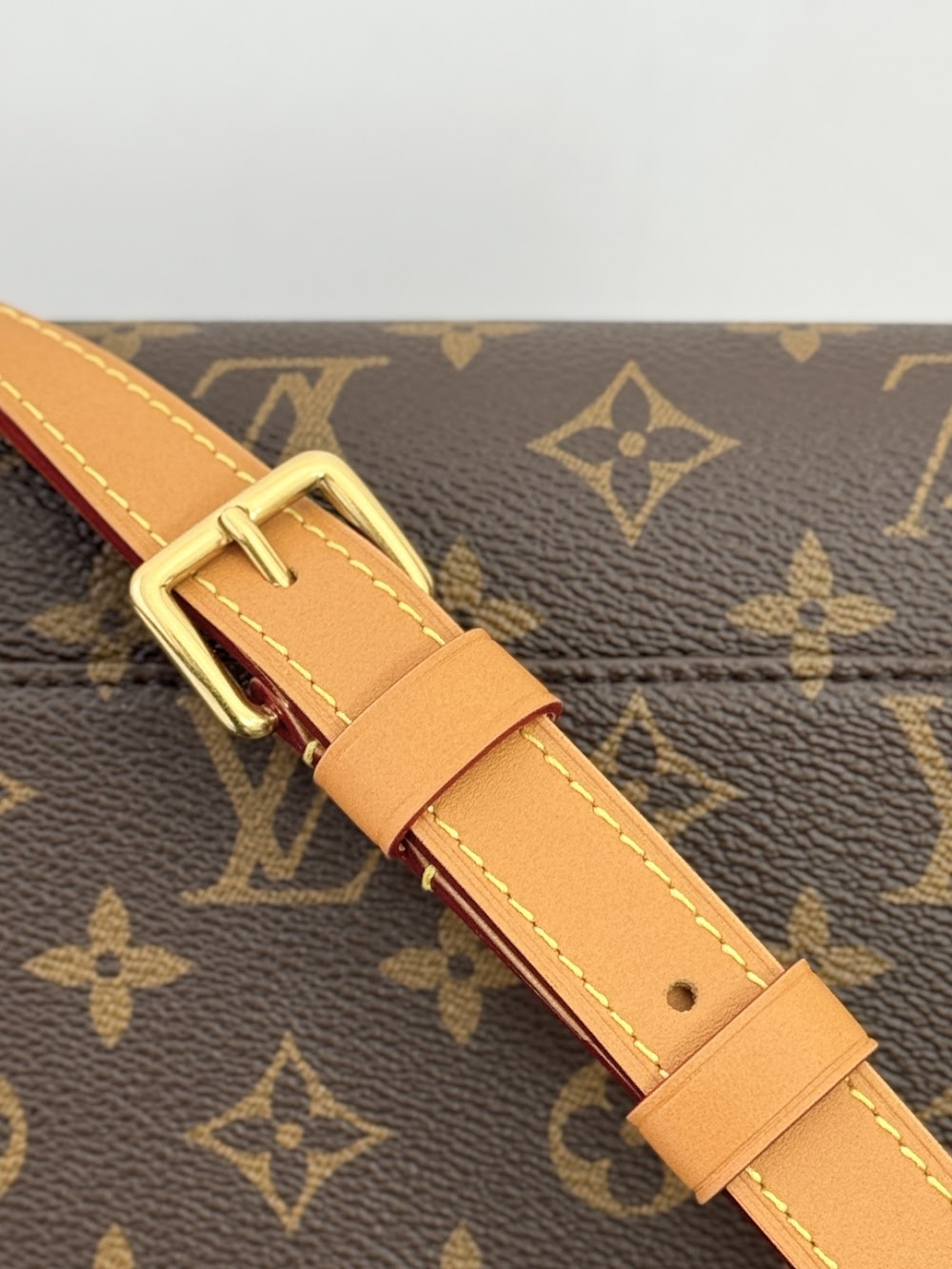 Dragons Bags ln Luxury Bag --96304