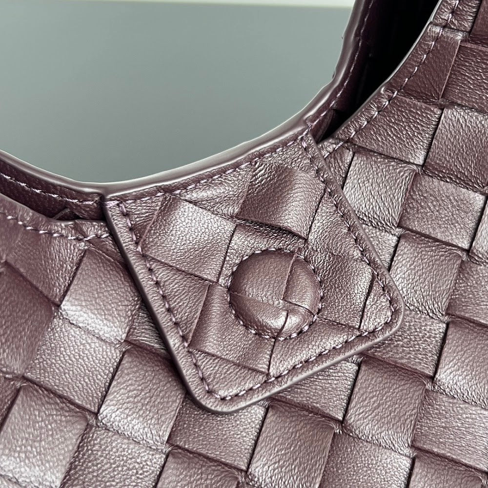 Dragons Bags Bottegan Luxury Bag --90313