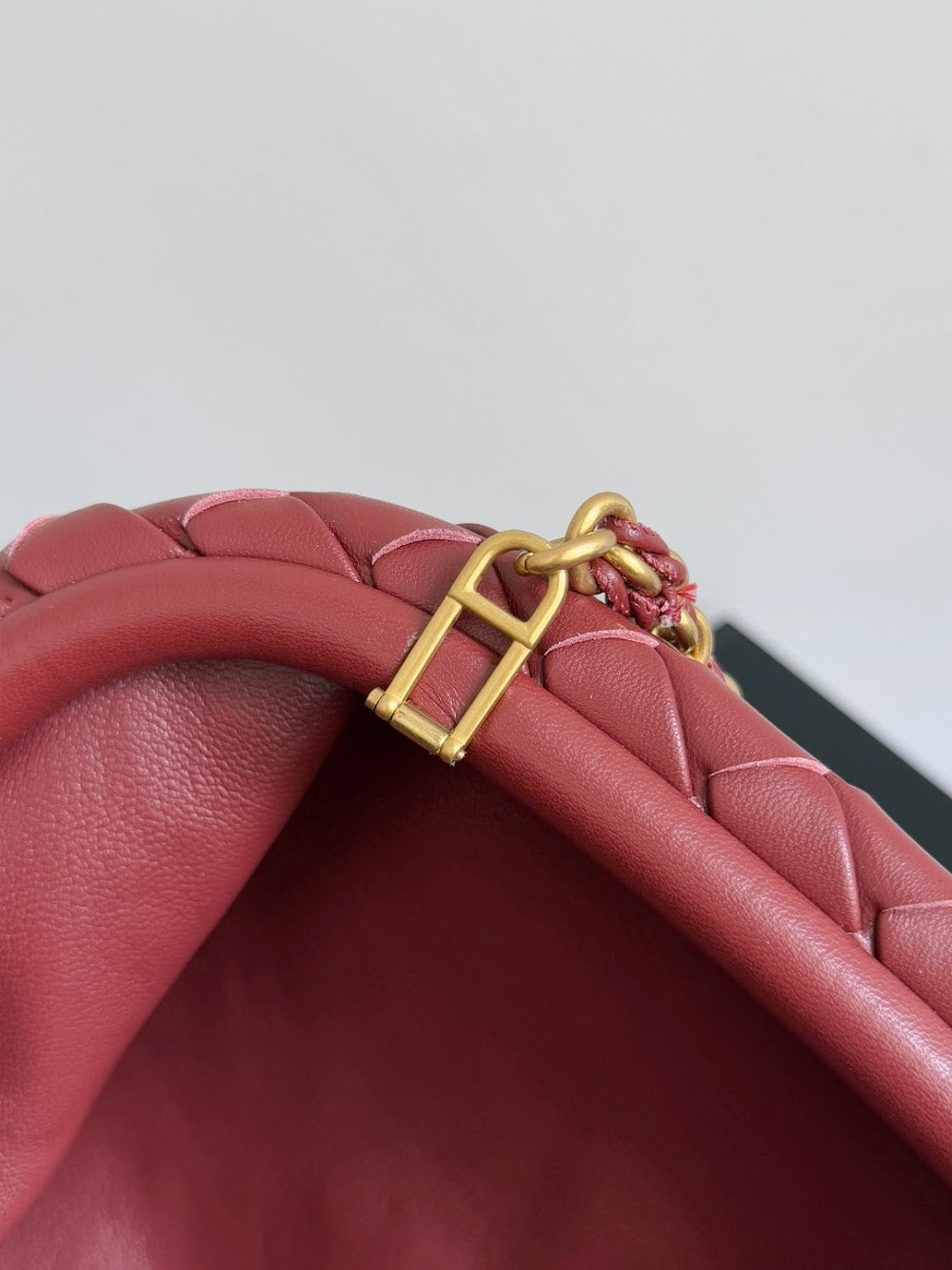 Dragons Bags Bottegan Luxury Bag --91099