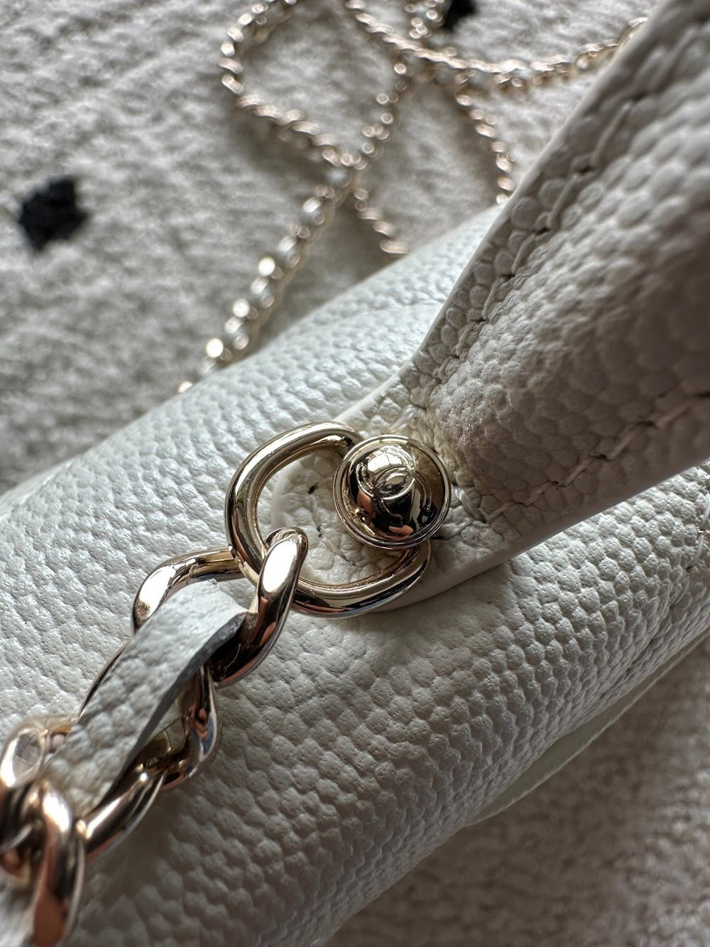 Dragons Bags CHn Luxury Bag --112709
