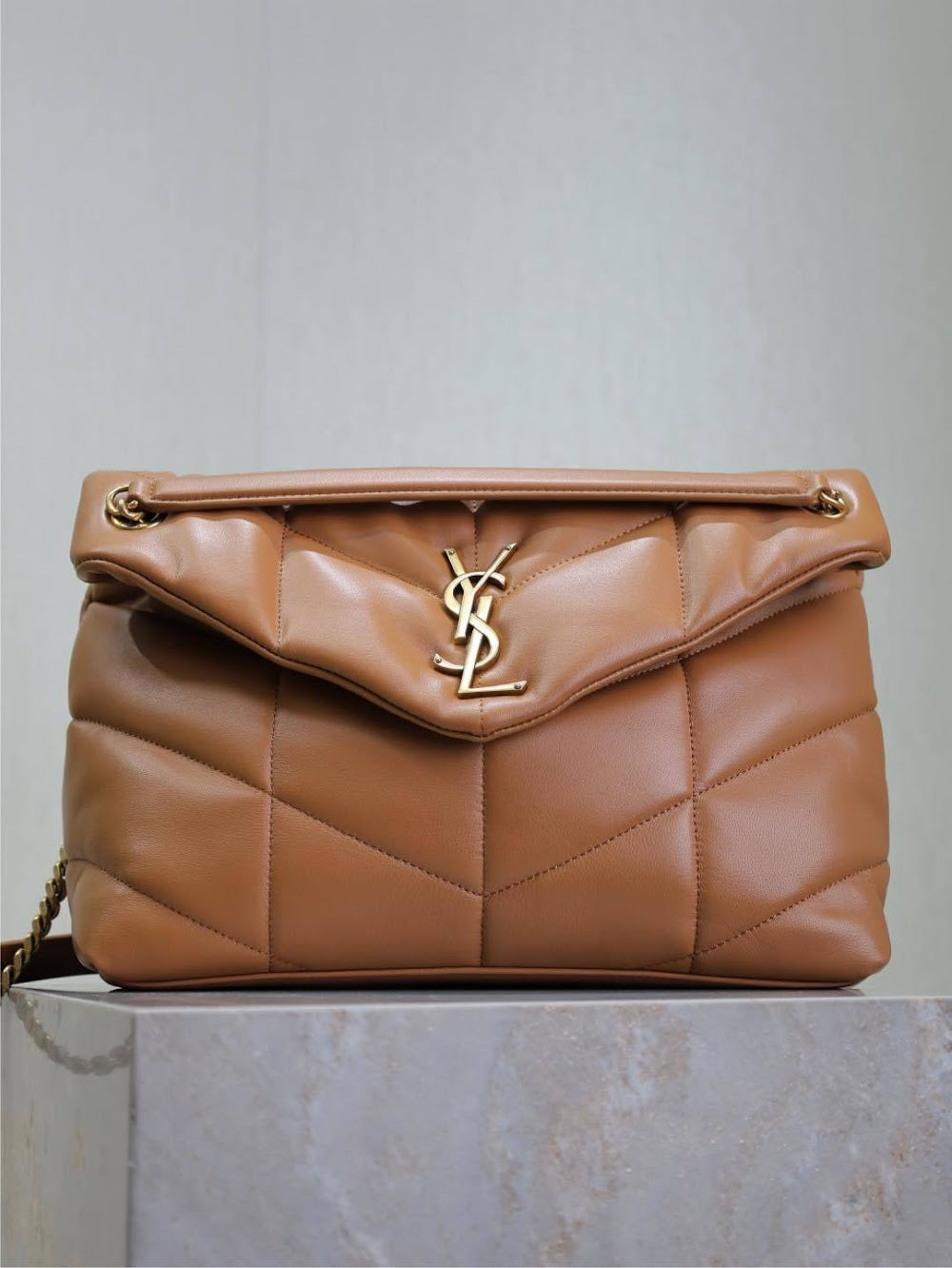 Dragons Bags YSLn Luxury Bag --119432