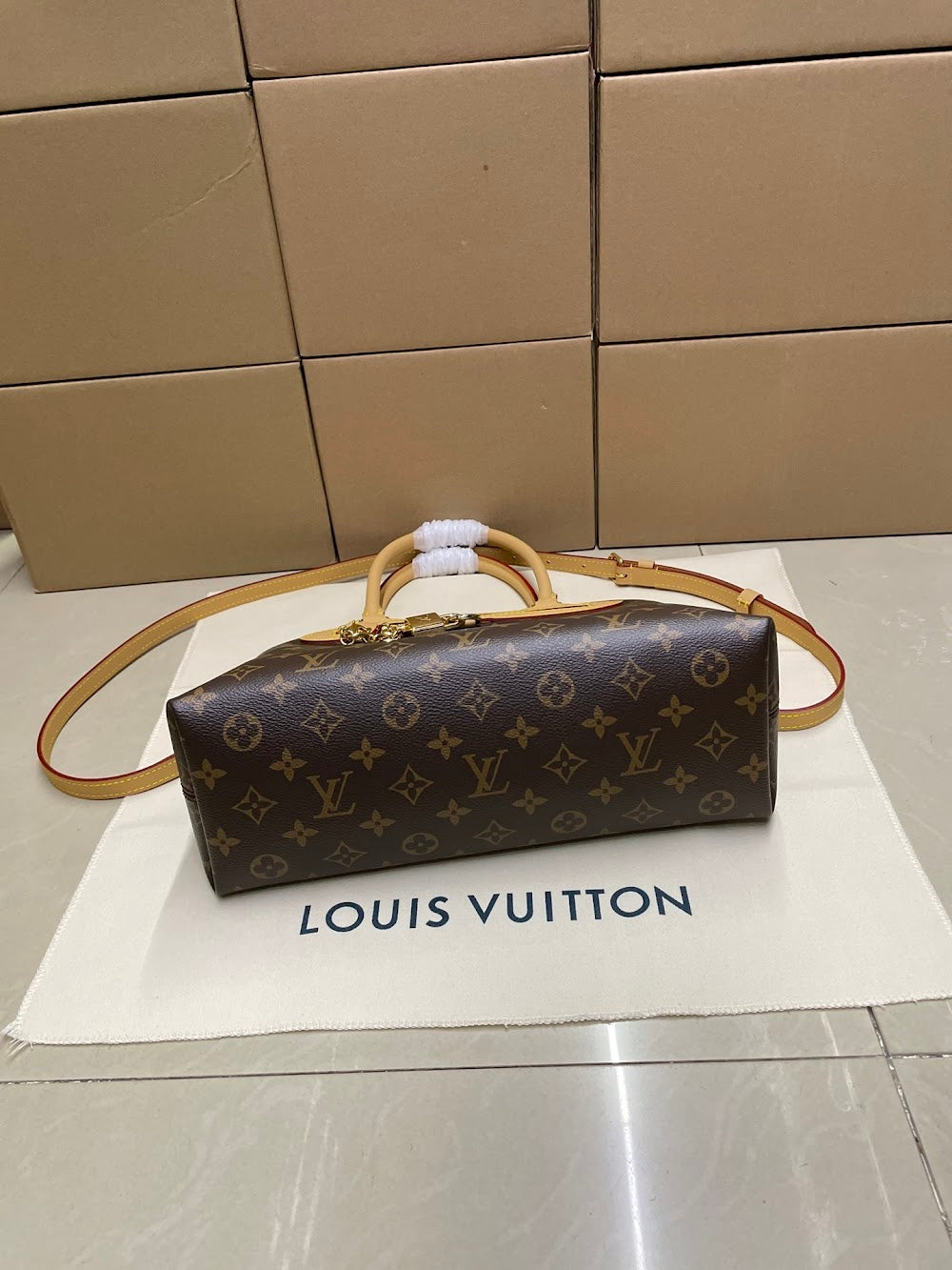 Dragons Bags ln Luxury Bag --96762