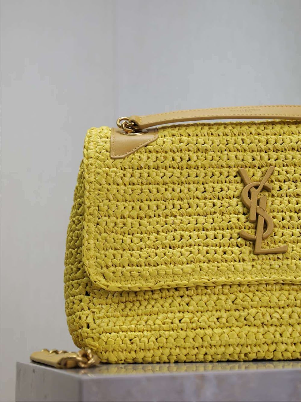 Dragons Bags YSLn Luxury Bag --120218