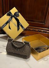 new-designer-premium-bags-nm6899