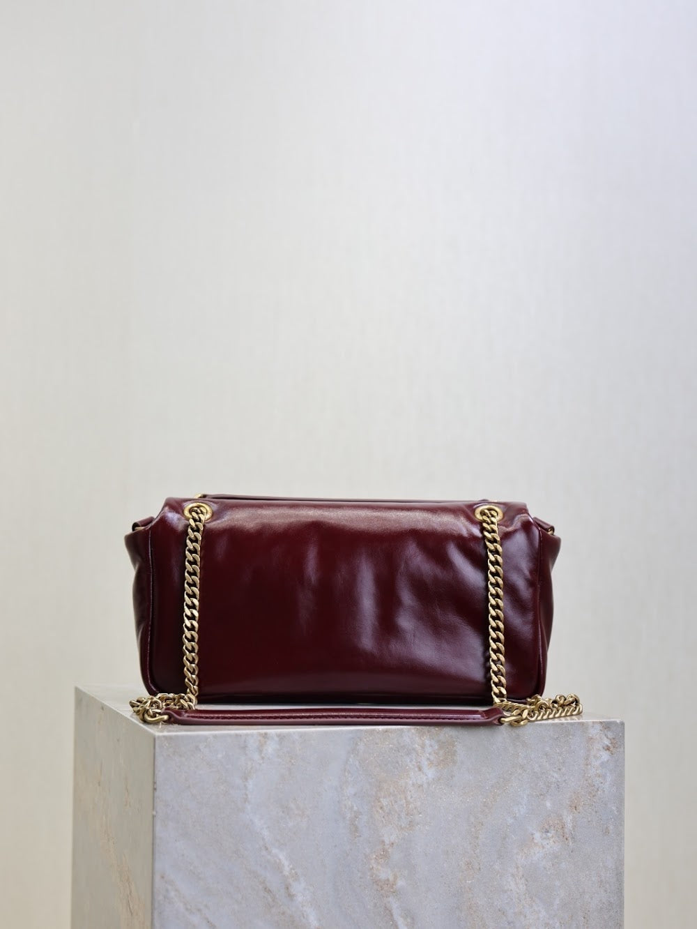 Dragons Bags YSLn Luxury Bag --119721