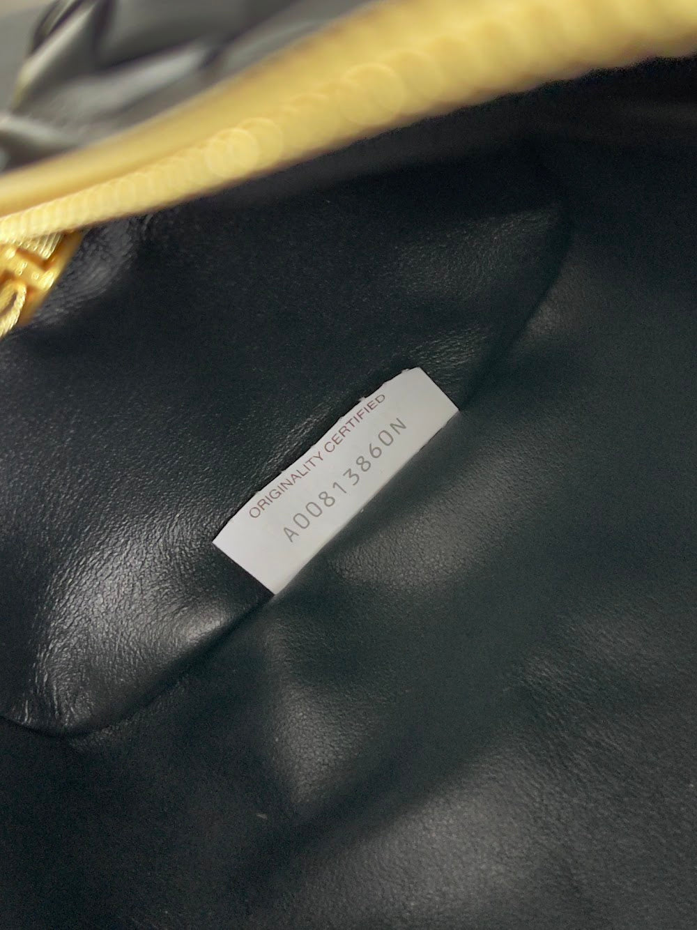 Dragons Bags Bottegan Luxury Bag --91149