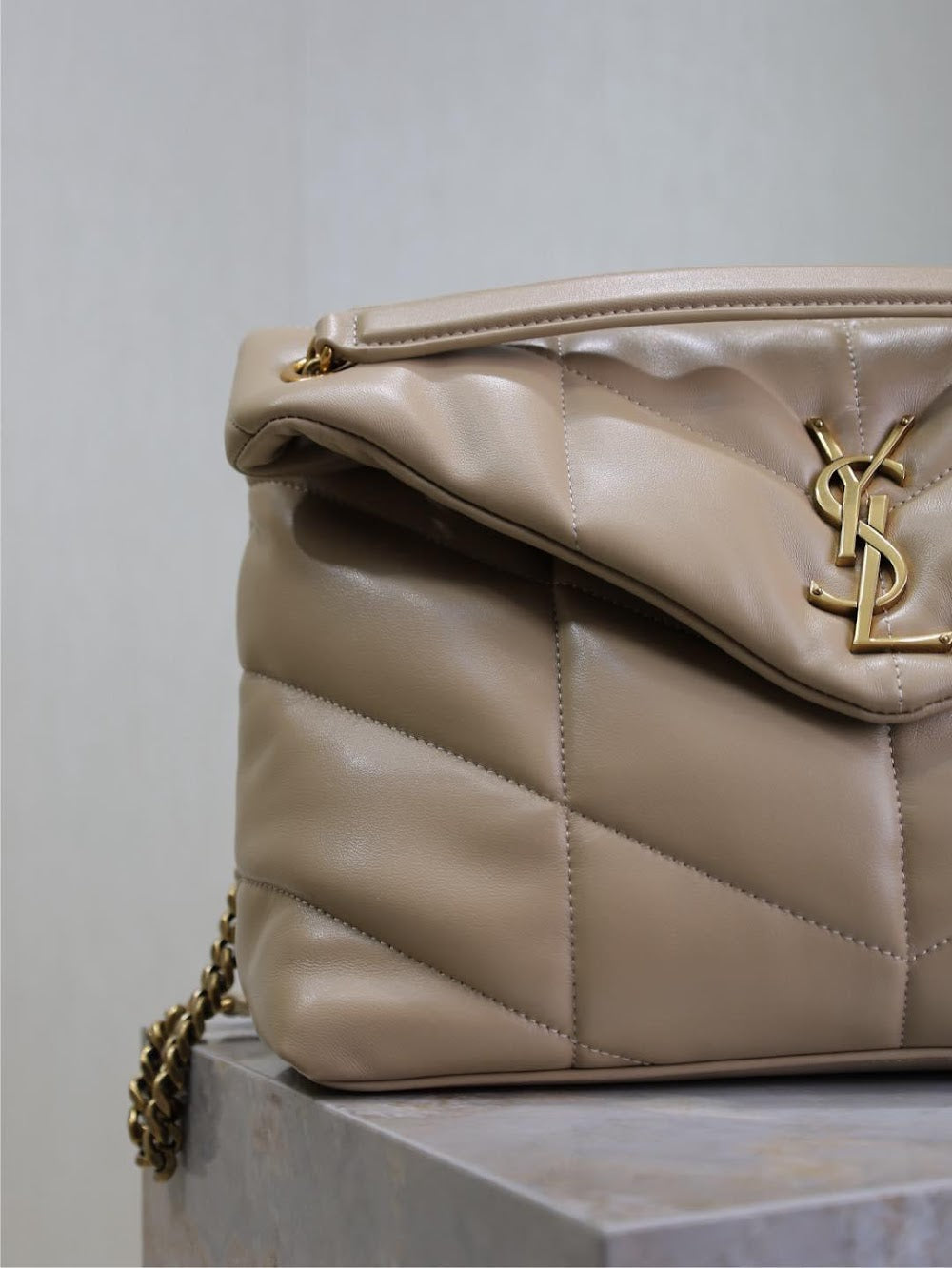 Dragons Bags YSLn Luxury Bag --119428