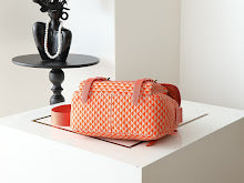 new-luxury-designer-bags-nm2220