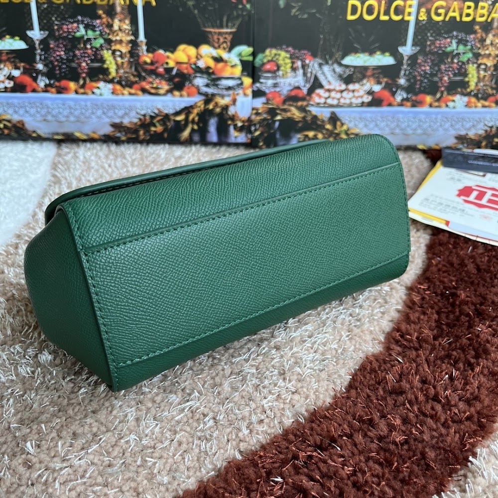 Dragons Bags DGn Luxury Bag --94008