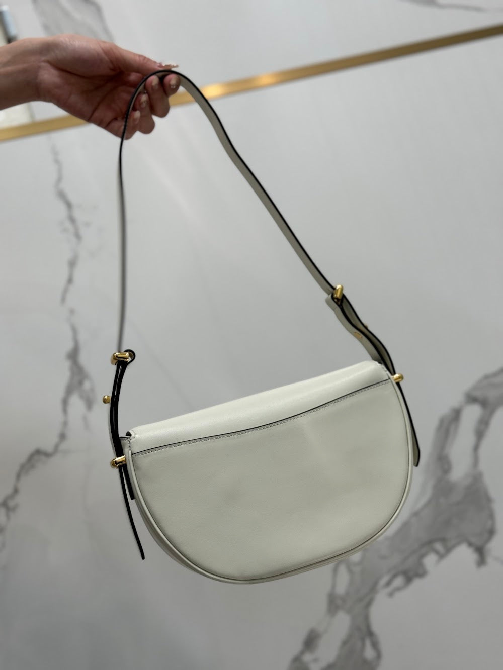 Dragons Bags Pradn Luxury Bag --102089