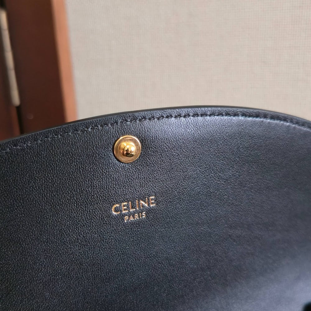 Dragons Bags Celine Luxury Bag --112636