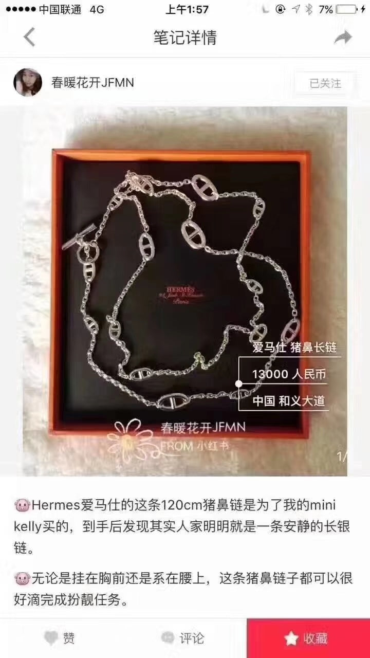 Dragons Bags Luxury Necklace --55598