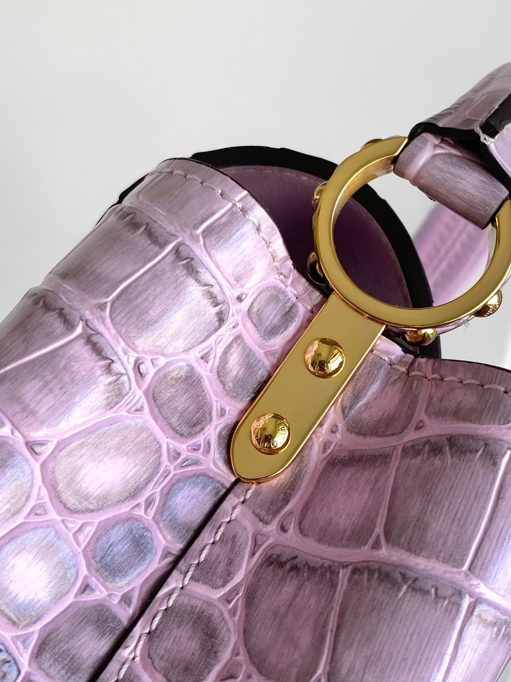 Dragons Bags ln Luxury Bag --96171