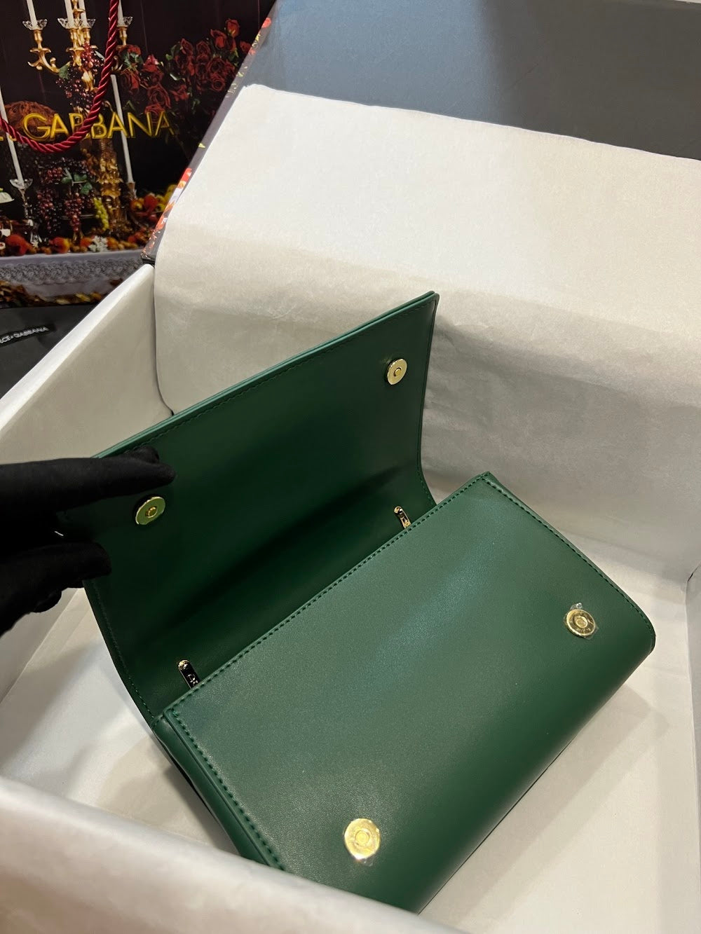 Dragons Bags DGn Luxury Bag --93876