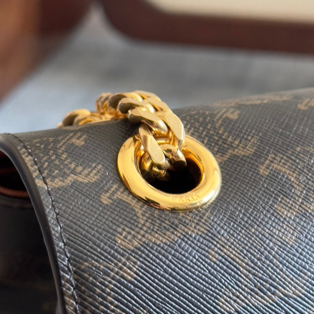 Dragons Bags Celine Luxury Bag --112271