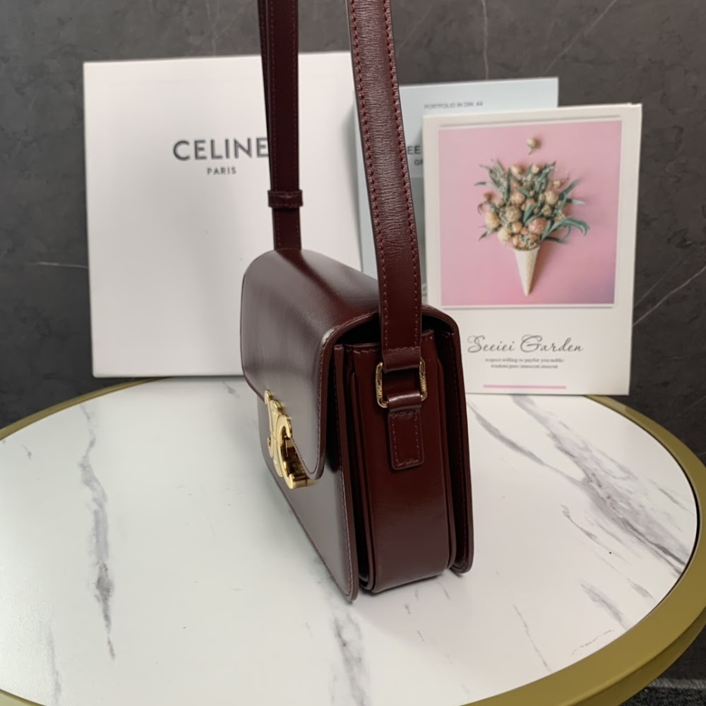 Dragons Bags Celine Luxury Bag --111994