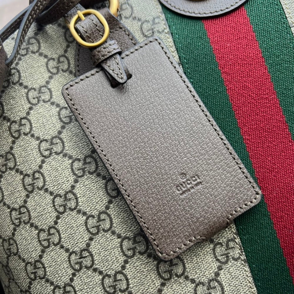 Dragons Bags Guccin Luxury Bag --94743