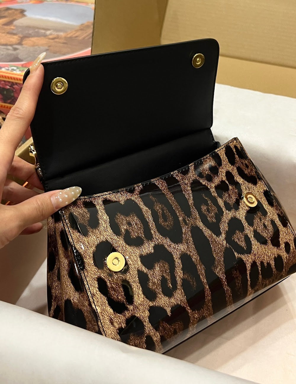 Dragons Bags DGn Luxury Bag --93493