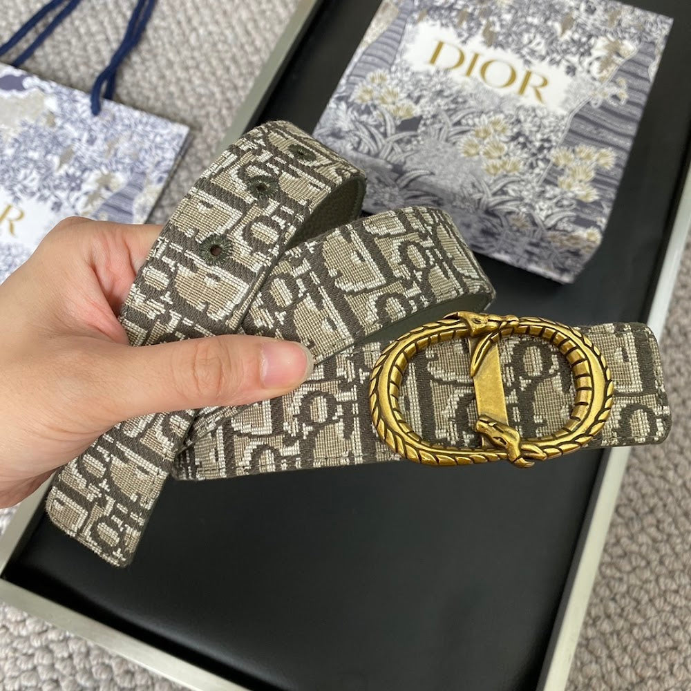 Dragons Bags Diorn Luxury Belt --104888
