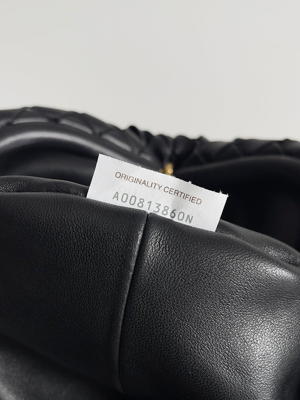 Dragons Bags Bottegan Luxury Bag --91269