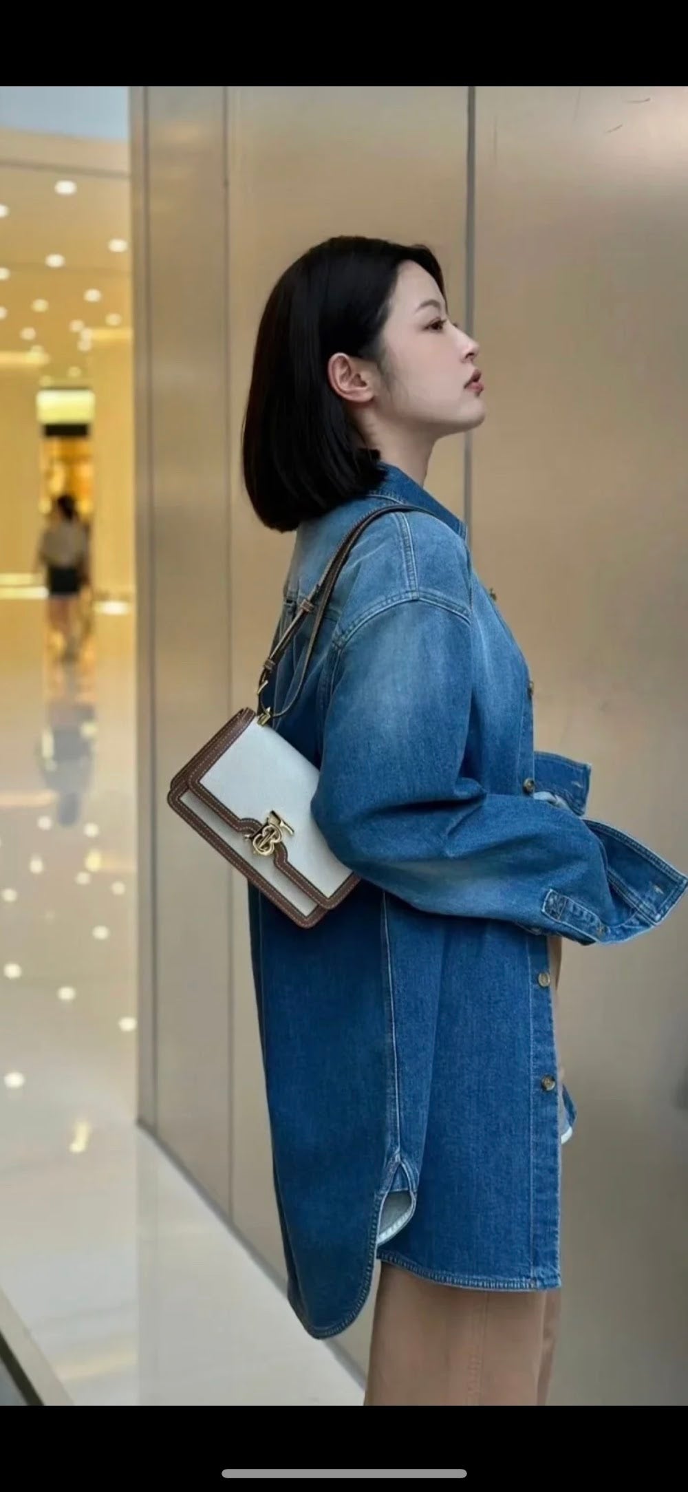 Dragons Bags Burberryn Luxury Bag --91619