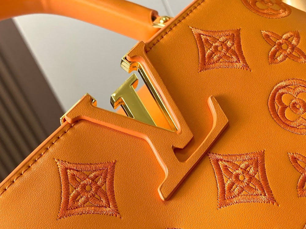 Dragons Bags LVn Luxury Bag --78674