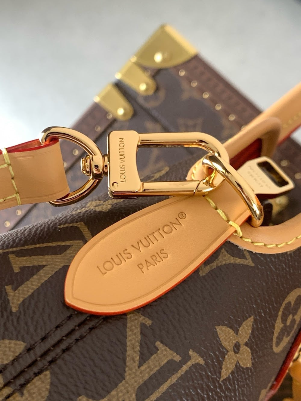 Dragons Bags ln Luxury Bag --81787