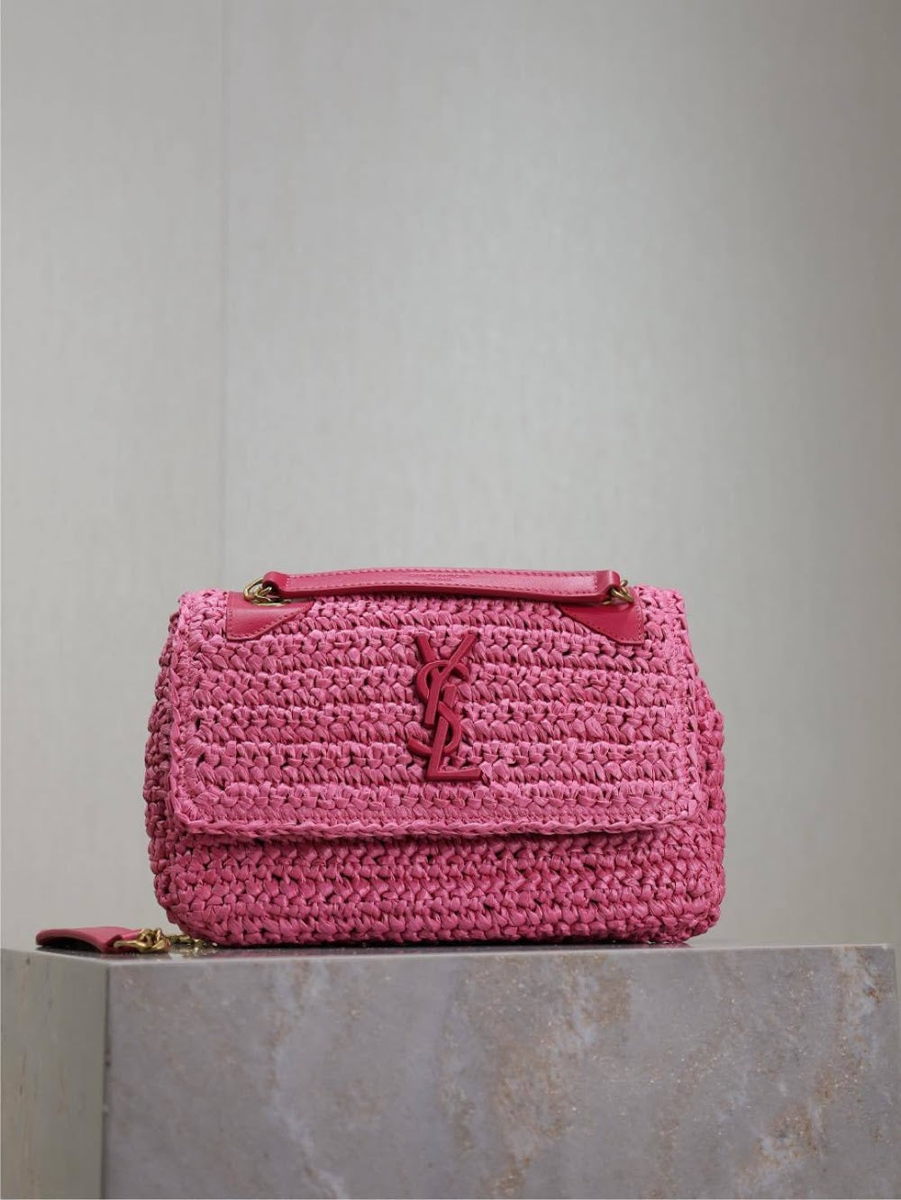 Dragons Bags YSLn Luxury Bag --120217