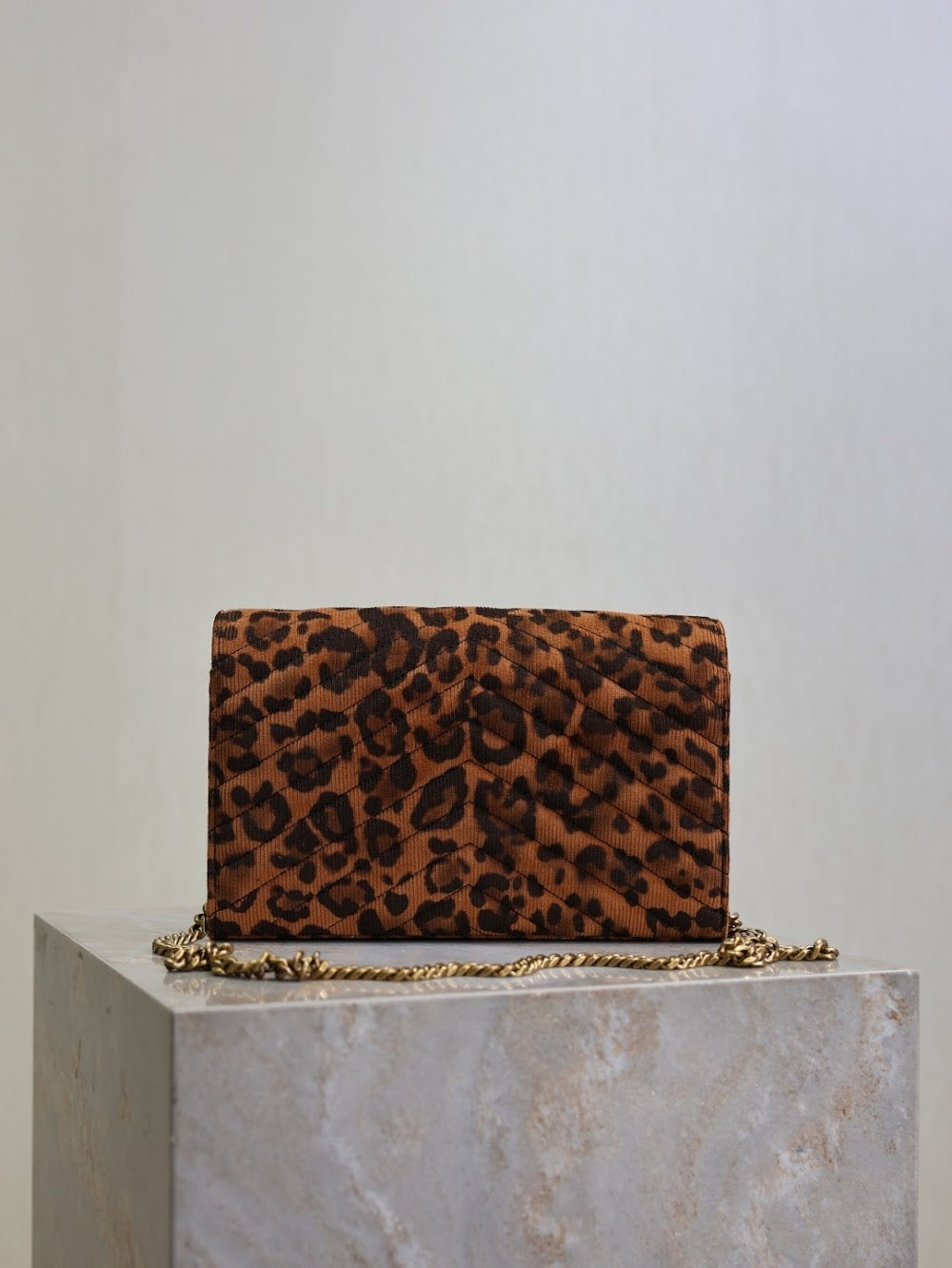 Dragons Bags YSLn Luxury Bag --119646