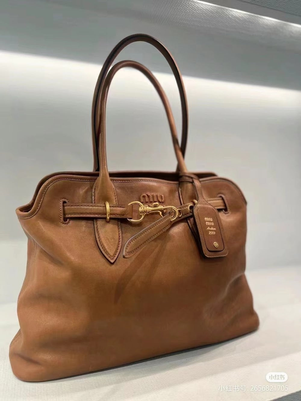 Dragons Bags Miun Miun Luxury Bag --122449