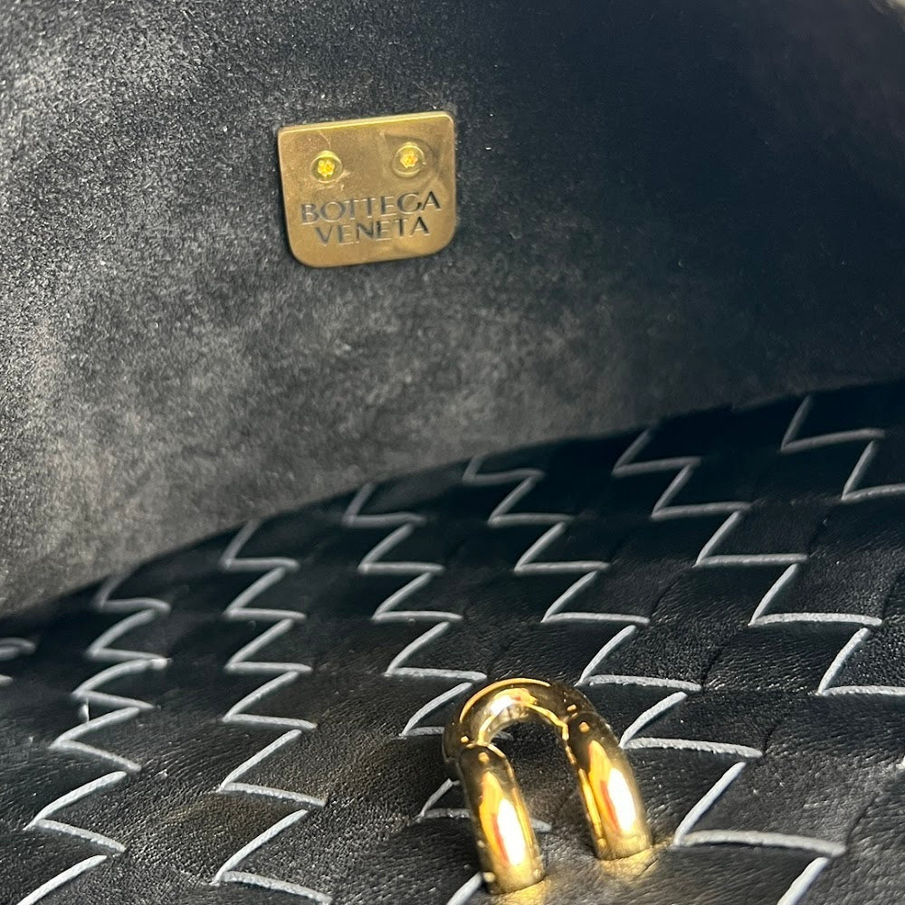 Dragons Bags Bottegan Luxury Bag --90284