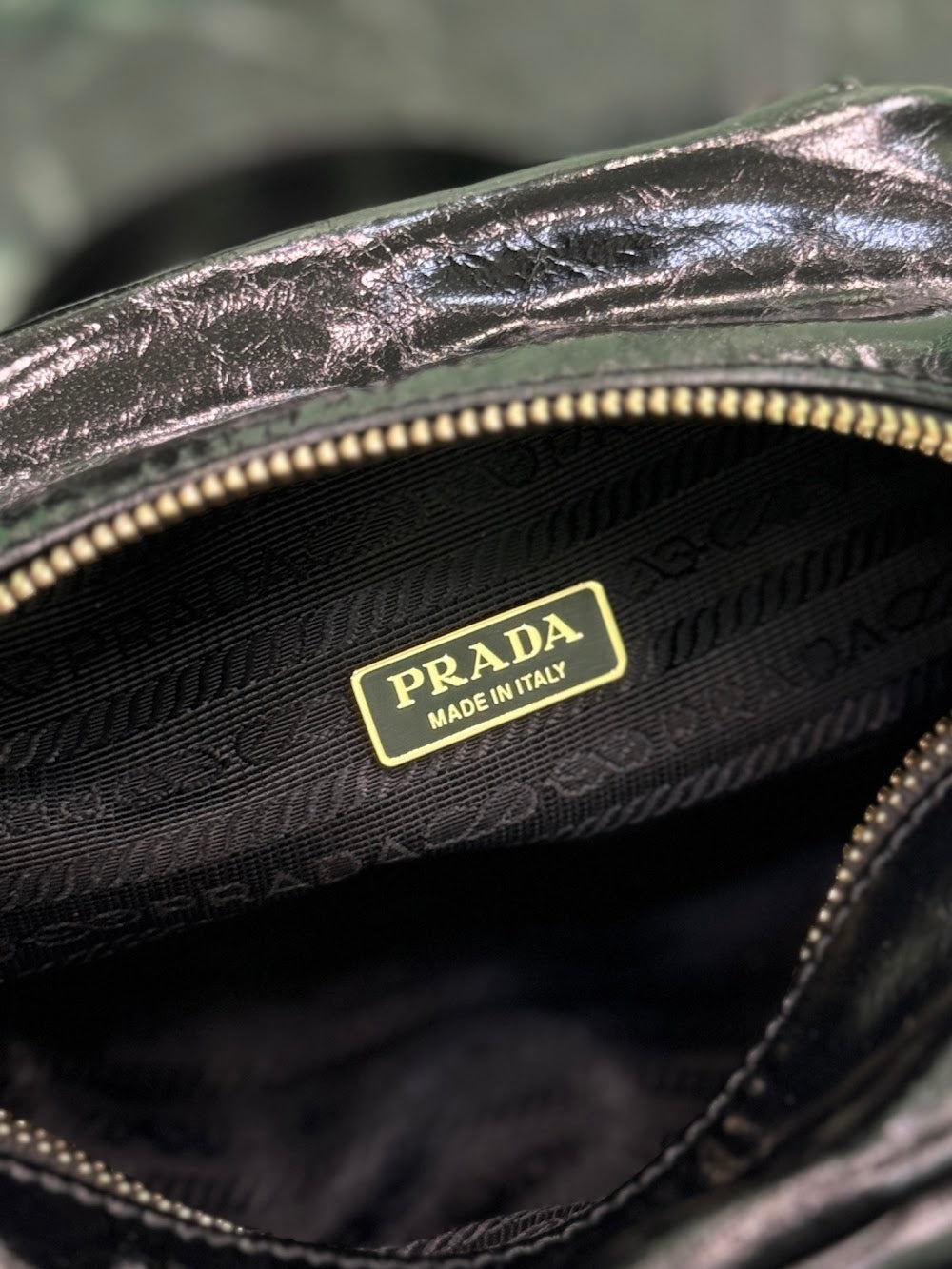 Dragons Bags Pradn Luxury Bag --102101