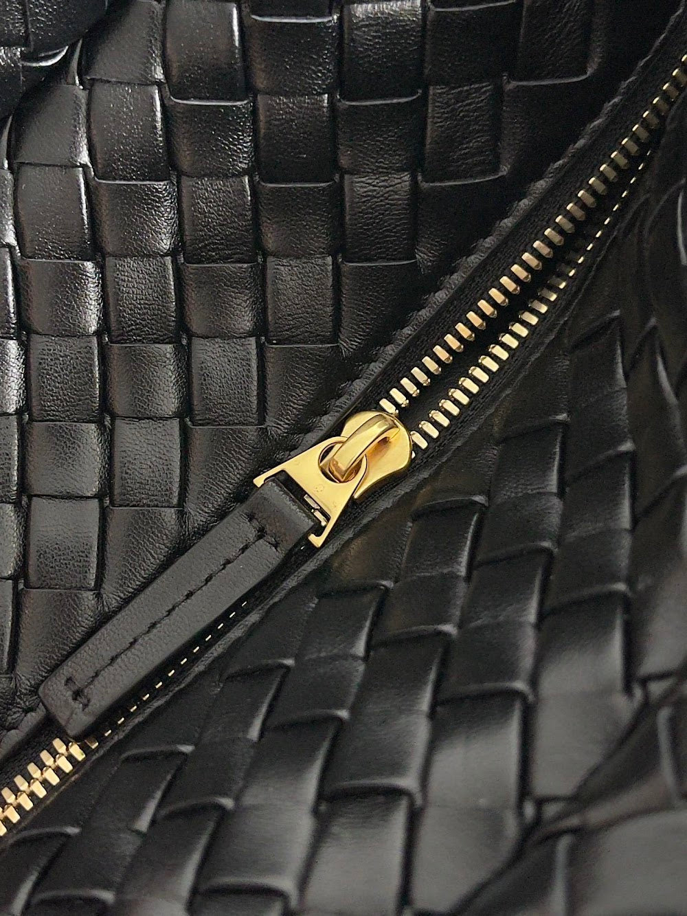 Dragons Bags Bottegan Luxury Bag --91006