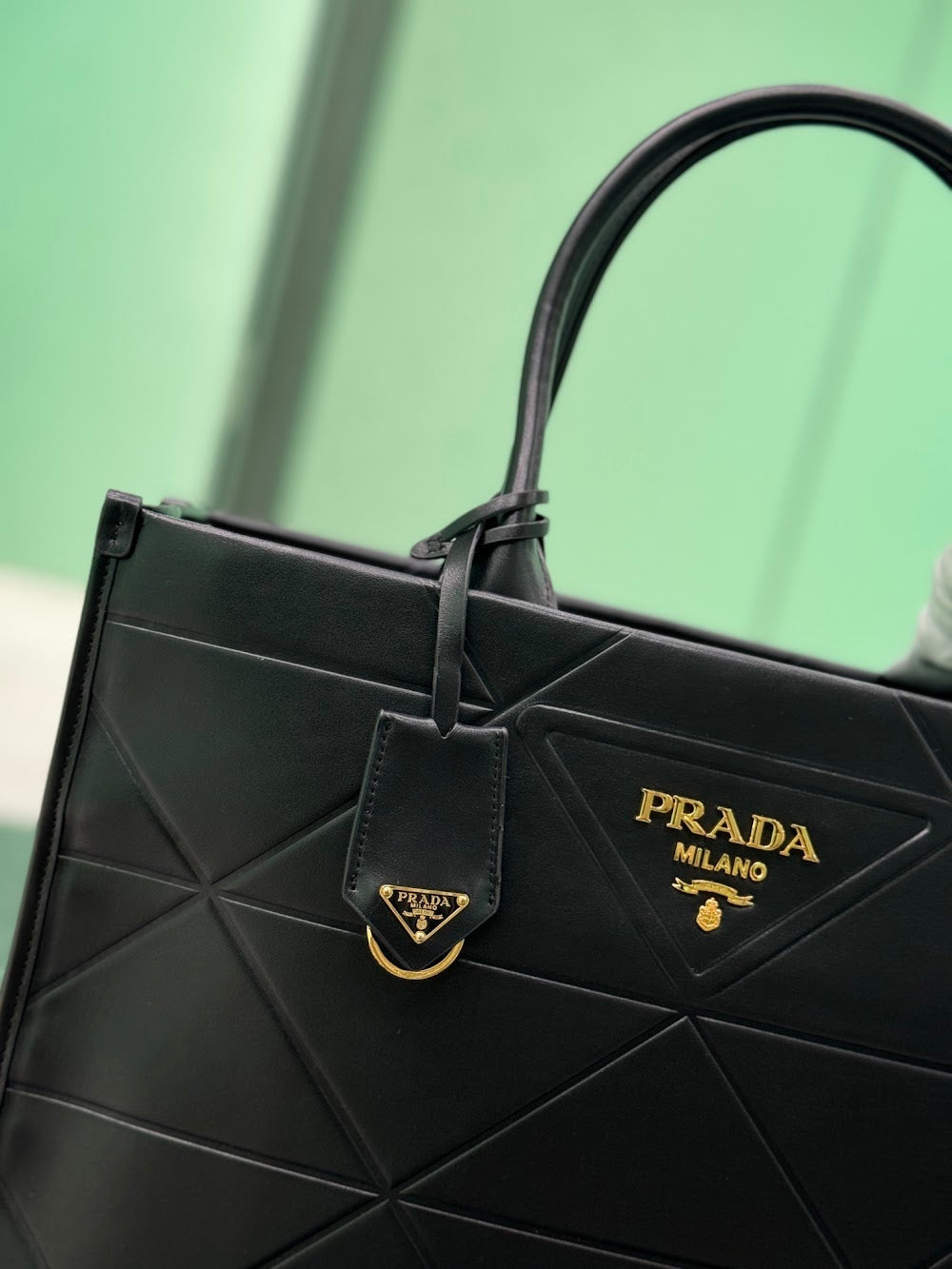 Dragons Bags Pradn Luxury Bag --101638