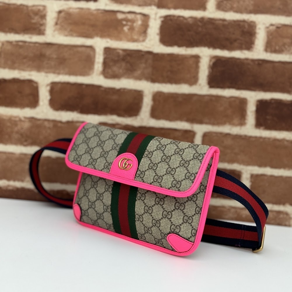 Dragons Bags Guccin Luxury Bag --94239