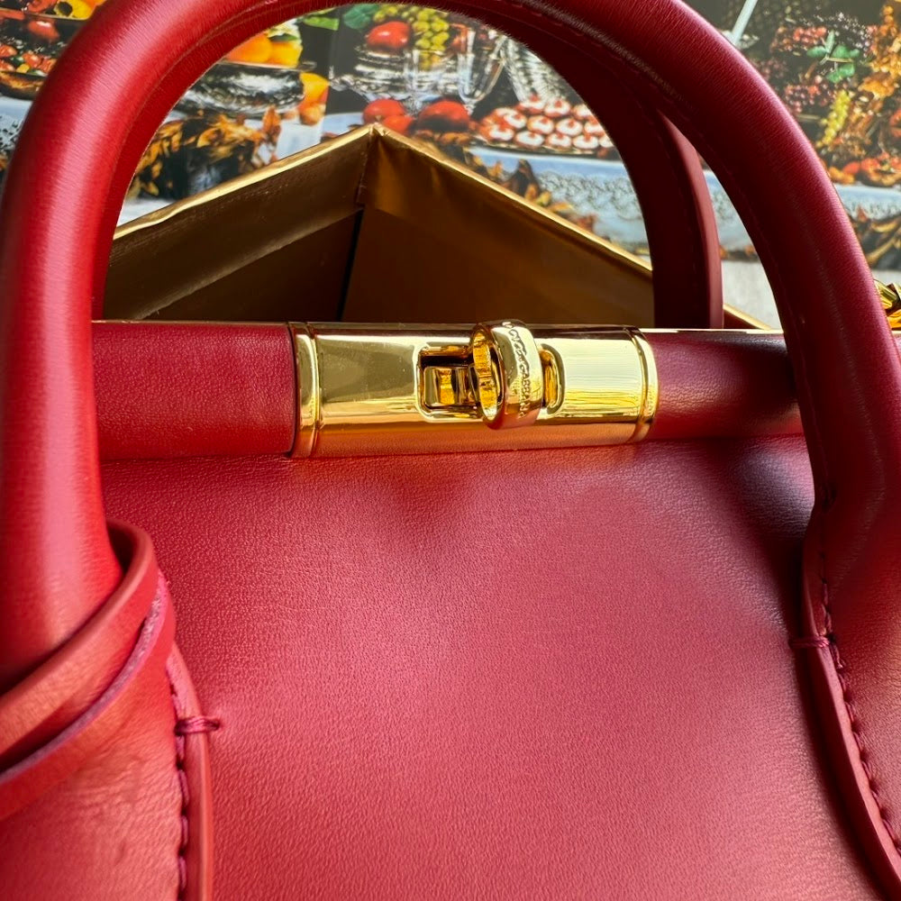 Dragons Bags DGn Luxury Bag --94065