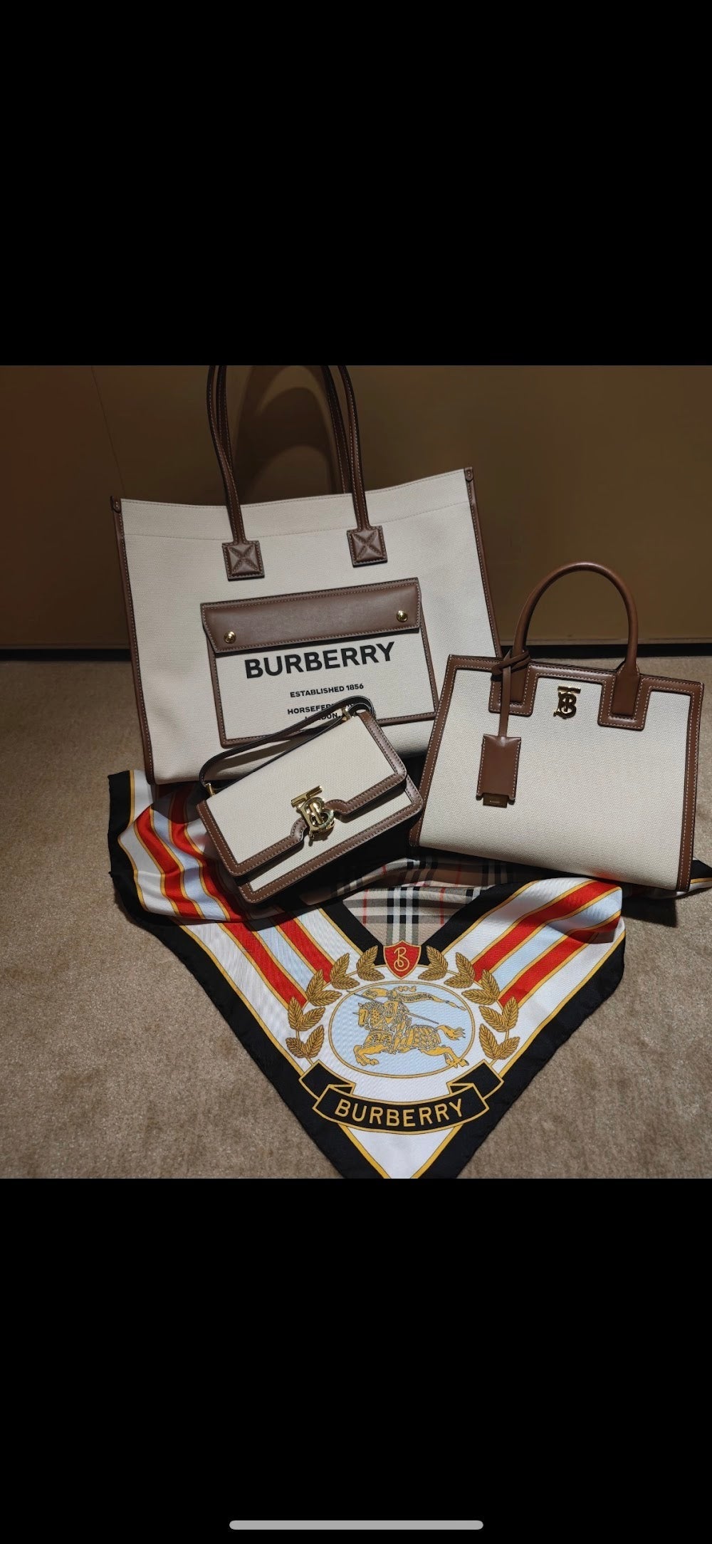 Dragons Bags Burberryn Luxury Bag --91618