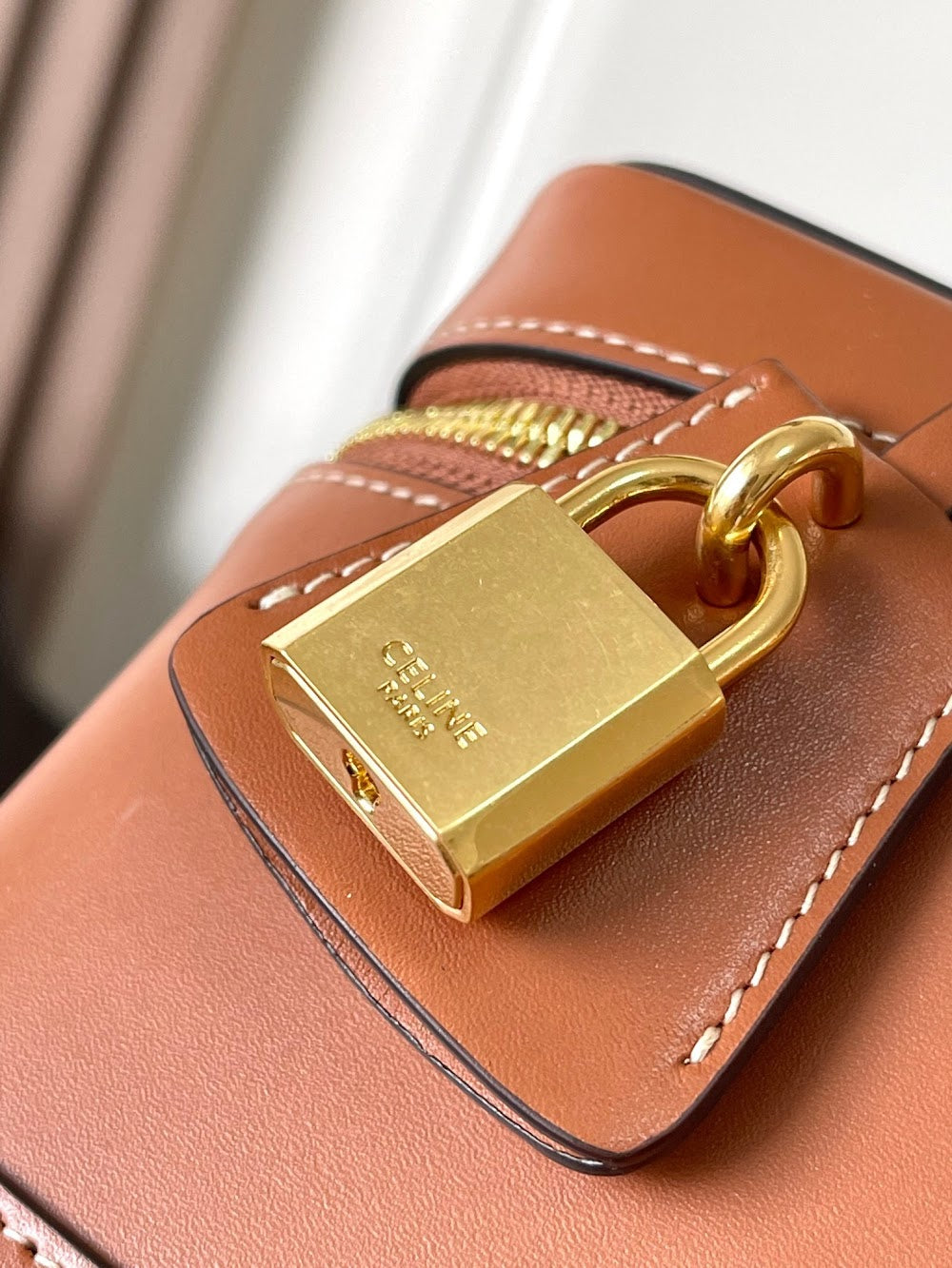 Dragons Bags Celine Luxury Bag --112316