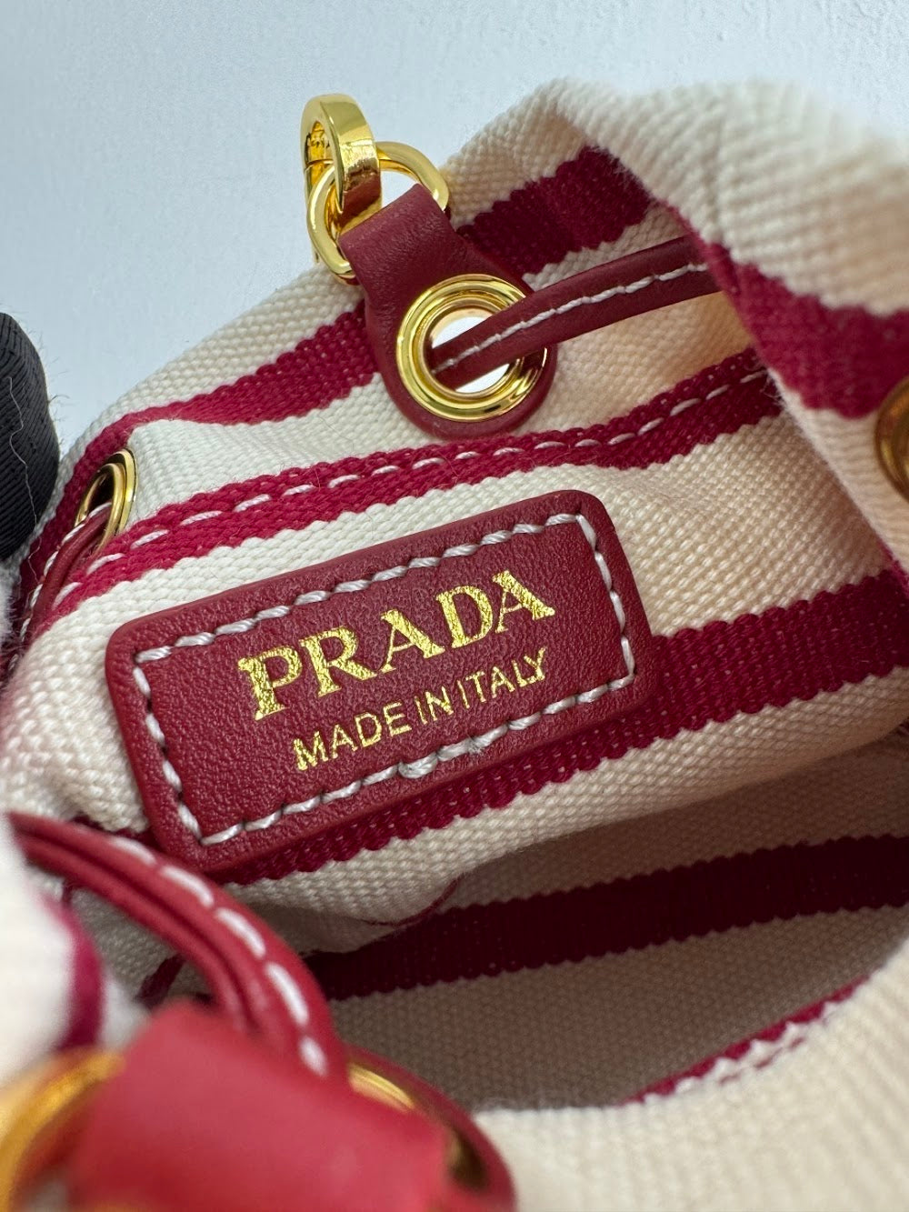 Dragons Bags Pradn Luxury Bag --101398