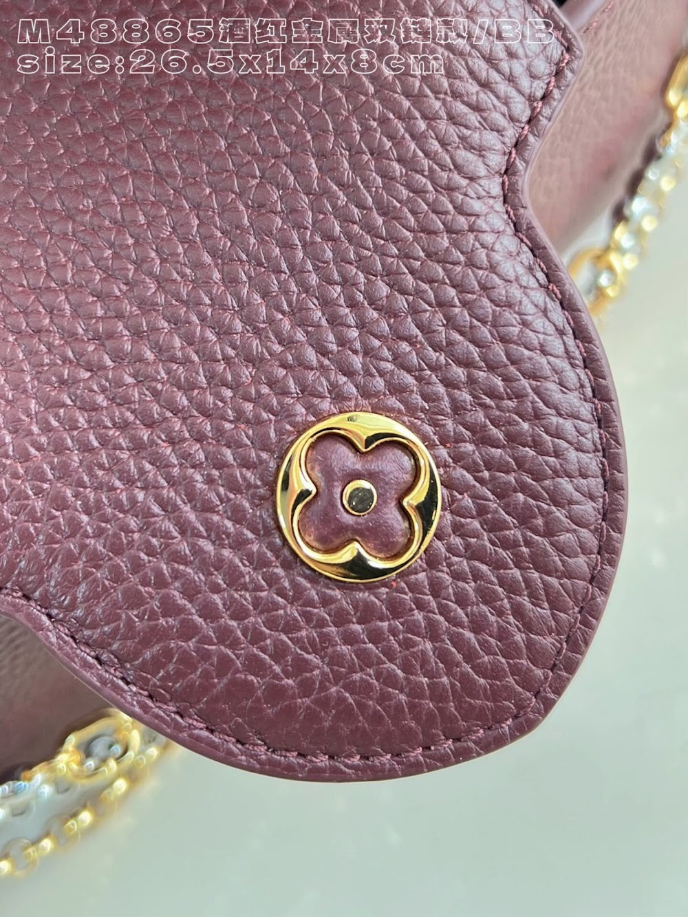 Dragons Bags ln Luxury Bag --95854