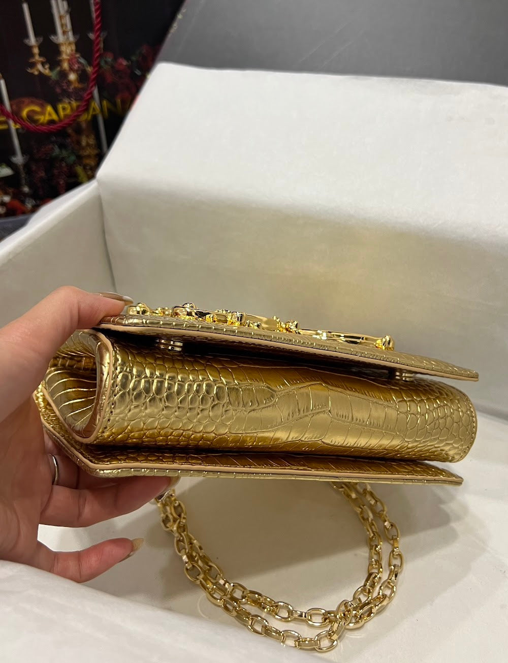 Dragons Bags DGn Luxury Bag --93545