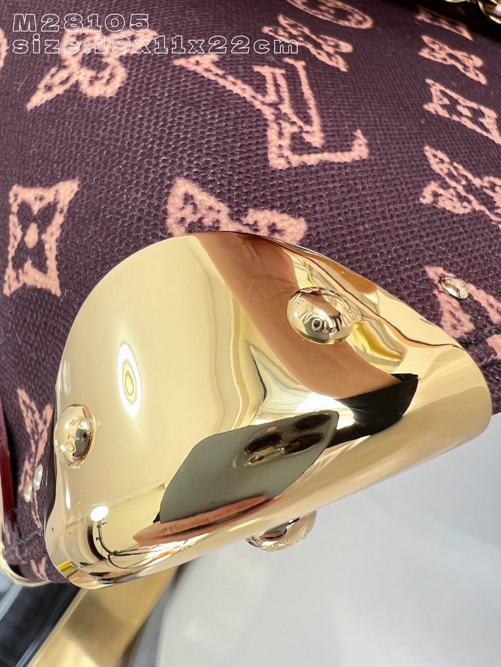 Dragons Bags ln Luxury Bag --96687
