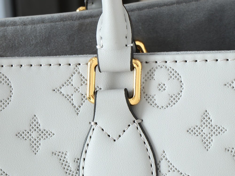 Dragons Bags LVn Luxury Bag --78679