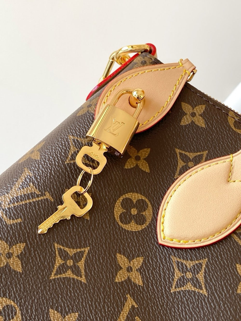 Dragons Bags ln Luxury Bag --81830