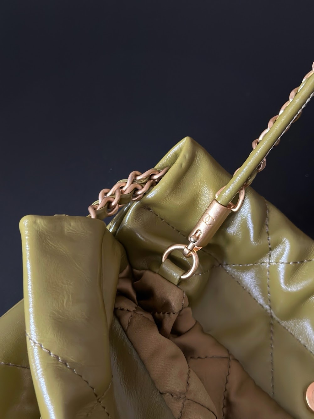 Dragons BagsCHn Luxury Bag --114325