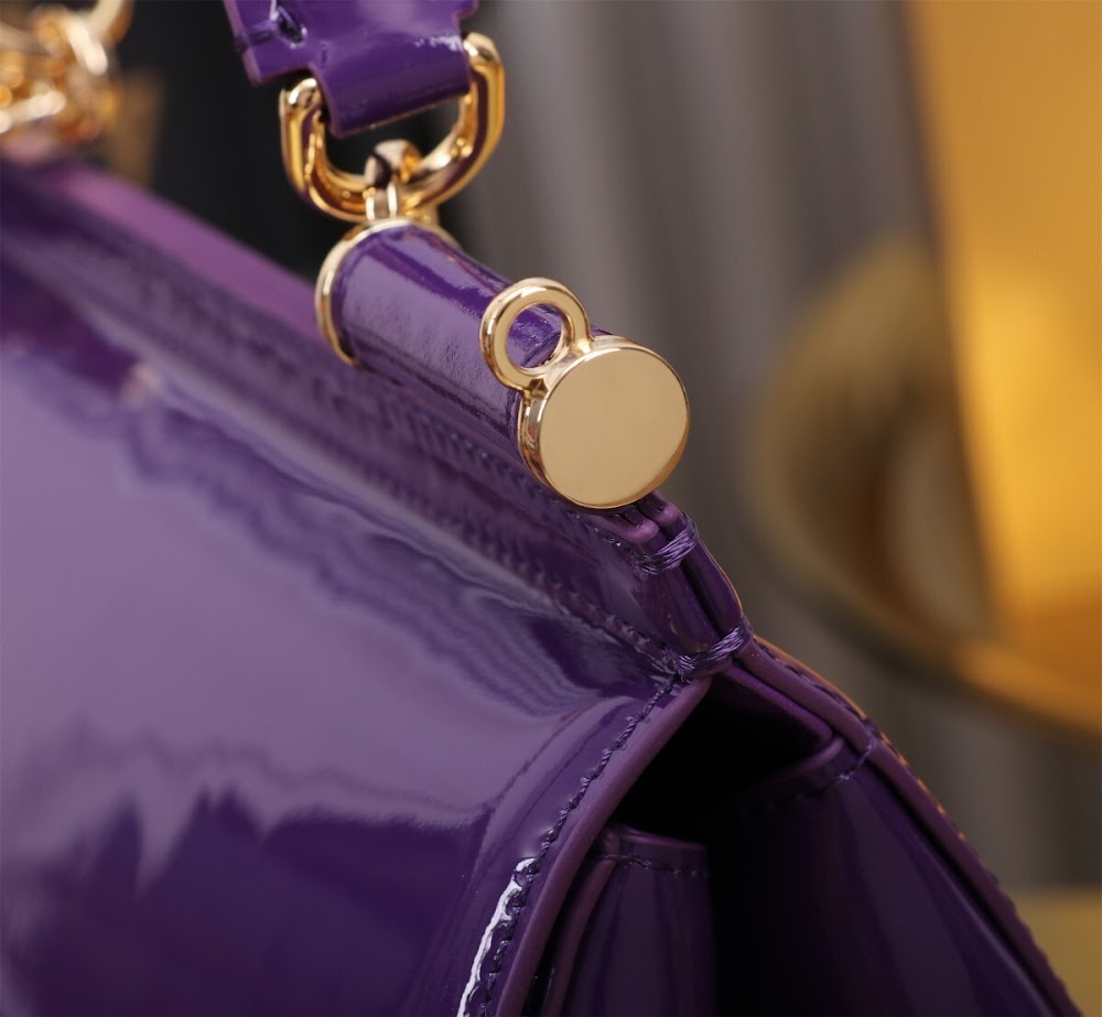 Dragons Bags DGn Luxury Bag --93648