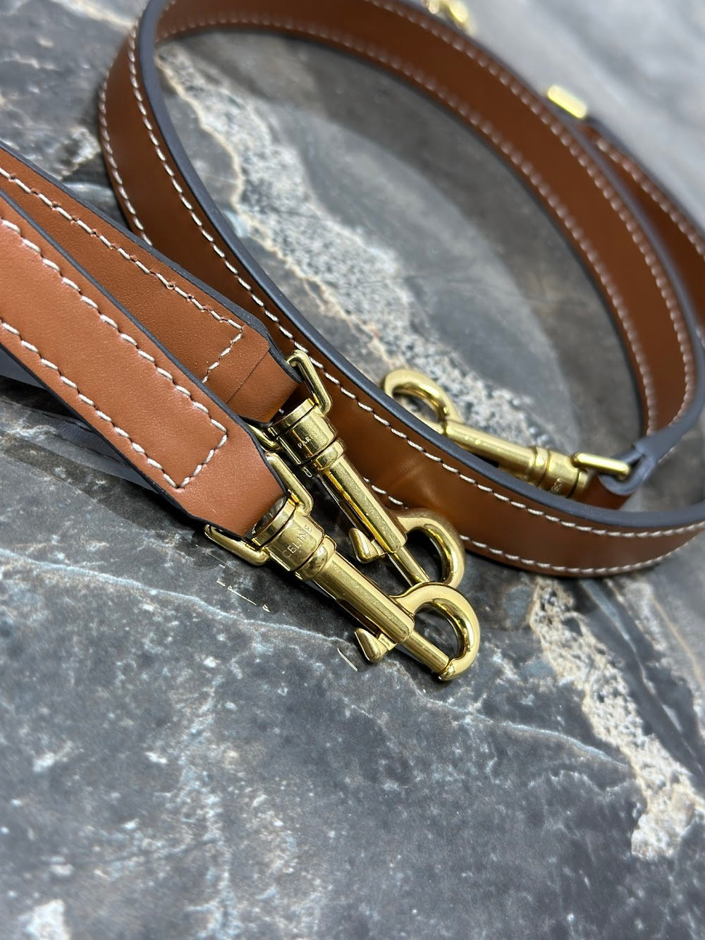 Dragons Bags Celine Luxury Bag --112499