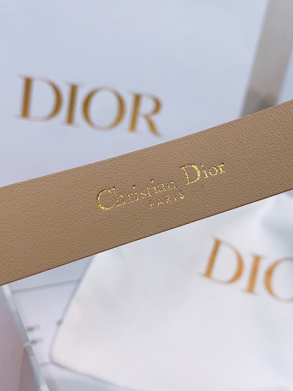 Dragons Bags Diorn Luxury Belt --107823