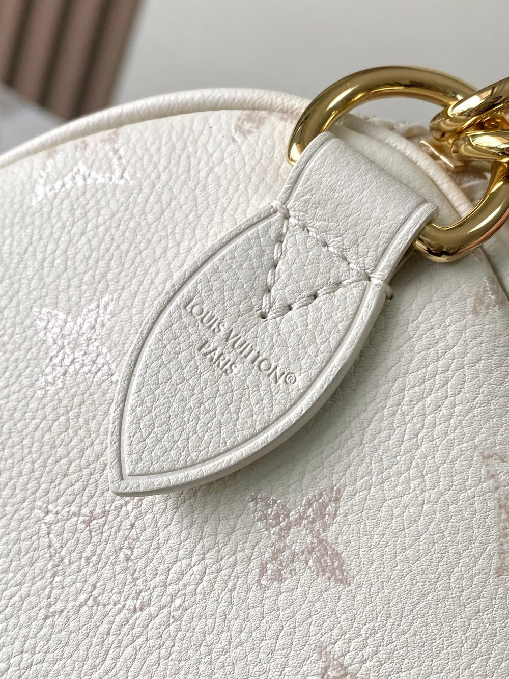 Dragons Bags ln Luxury Bag --96047