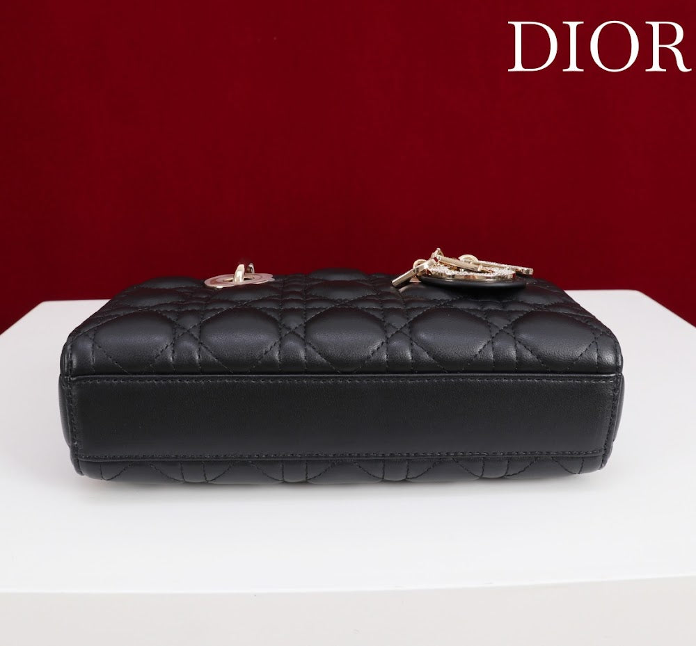 Dragons BagsDiorn Luxury Bag --115624